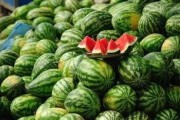 网红免费吃瓜黑料qq群,揭秘网络背后的真相