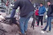 佛山罗村爆料最新消息新闻,突发事件引发关注，详情即将揭晓